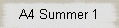 A4 Summer 1