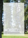 camping in state parks photo art trees a 4 european format