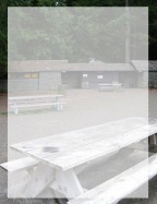 trees picnicing at state parks roadside lunches