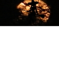 harvest moons thru trees creepy ideas spooky nights