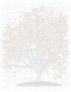 digital heritage family tree stationery free to download and print